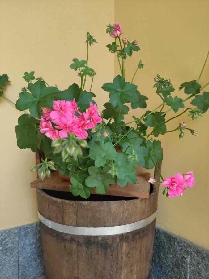 Bed&Breakfast Villa Camilla Ivrea Exterior foto